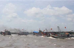  Khẩn trương tìm kiếm ngư dân mất tích tại vùng biển Bình Thuận
